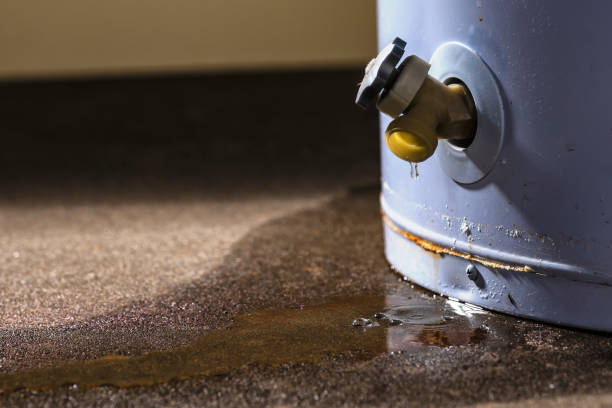 Best Water damage cleanup near me  in Ahuimanu, HI