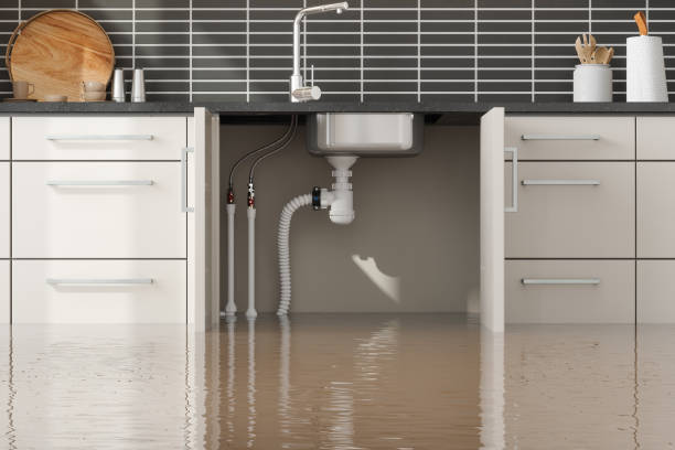 Best Carpet water damage restoration  in Ahuimanu, HI